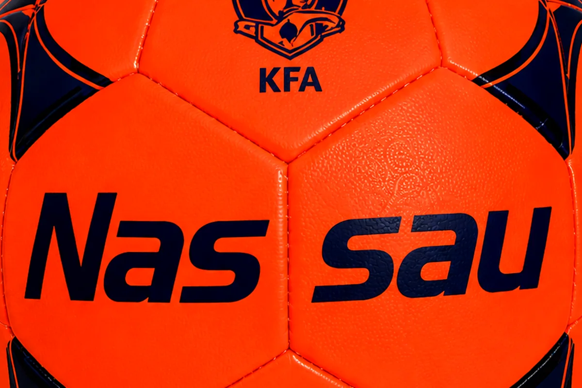 Detalle del cosido y los paneles de una pelota Nassau Championship Pro